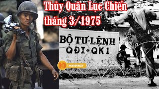 Lính TQLC tháng 3/1975 ở biển Thuận An, Huế không vẫn thua và đây là lý do cay đắng  | NAMDUONGTV