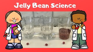 Jelly Bean Science Experiment - A Guide for Parents and Teachers