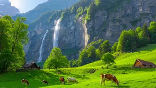 Relaxing Music for Stress Relief – Sleep Music, Mind Relaxation, Emotional Healing Sounds