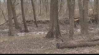 Henderson County Sheriff's Office asking for help to identify body