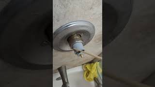 Leaky shower faucet repair (with Ace Hardware brand cartridge replacement.