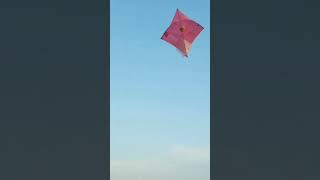 kite flying kites kite cut patang bazz patang kite sidhumoosewala bir #viral #trending #shorts #kite