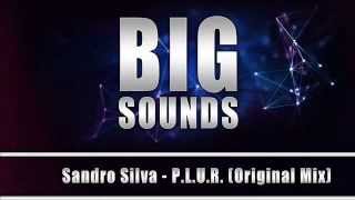 Sandro Silva - P.L.U.R  (Original Mix)