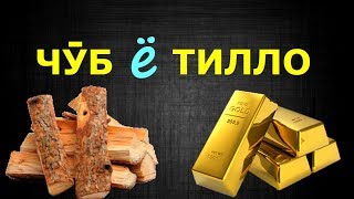 Достони чӯбу тилло; Қадри дӯстону рафиқонамонро бидонем