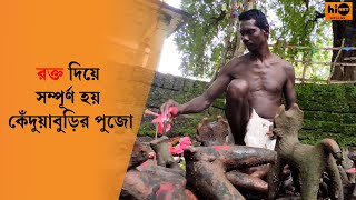 JHARGRAM | MA KENDUABURI | ঝাড়গ্রামের মা কেঁদুয়াবুড়ির ইতিহাস।