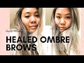 Healed Ombre Powdered Brows| Q&A