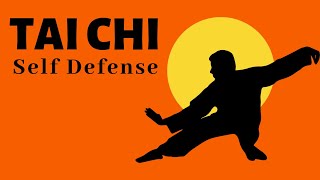 Top Tai Chi Techniques | Brush Knee and Push Application
