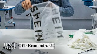 How Shein Built a $66B Fast-Fashion Empire | WSJ The Economics Of