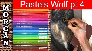 How to draw fur with Pastel Pencil Lesson l wildlife art - Jason Morgan