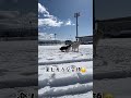 【笑える】雪を爆食いすらホワイトスイスシェパード shorts