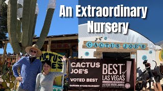 Meet Mr. Cactus Joe, owner of the Cactus Joe's Nursery | #Plantnursery Tour | Cactus and Succulents