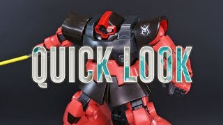 MG Char's Rick Dom (Quick Look)