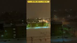 【北海道旭川市】昨日の夜から雪が降り続ける旭川市☃️ 朝の気温-9°☀️ 2024年12月27日✨ #ninjya #shorts #旭川市 #朝イチ #hokkaido #北海道 #雪