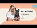 pure sensitive mini hundefutter für kleine hunde für weniger zahnstein und top verdauung