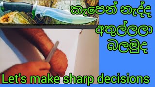 The Hollywood knife sharpens very quickly.How to sharpen a knife very quickly. sinhala.home repair