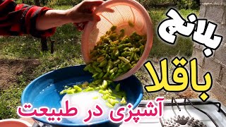 روش نگهداری صحیح باقلا برای مدت طولانی.آموزش بلانچ کردن باقلا.آموزش آشپزی