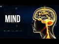 mind మనసు లేదు కేవలం ఆలోచనలు మాత్రమే ఉన్నాయి about mind u0026 control