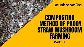 Paddy Straw Mushroom Farming Using Composting part 1 | composting method ରେ ପାଳଛତୁ ଚାଷ #composting