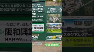 #hanshintigers #ウル虎の夏 #阪神甲子園球場