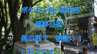 ポケモンGo 世田谷　馬事公苑の巣わ？1