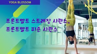 플라잉요가_프론트벨트스트레칭시퀀스,프론트벨트피죤시퀀스#요가블라썸