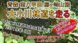 青森　南八甲田　大小川林道（おっこがわりんどう）を走る