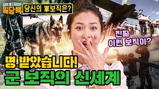 당신의 군 보직은? 명 받았습니다! 군 보직의 신세계속으로~☆ 차트쇼 밀당백 4회 | 국방홍보원