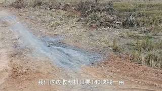 湖南常德大哥承包600亩水稻，公开揭露一年总收益，看完别不信！