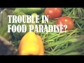 Trouble In Food Paradise | CNA Insider