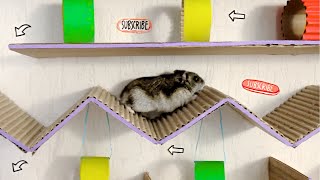🐹 Cardboard Hamster Obstacle Course Maze with Traps 😱