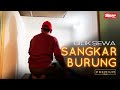 [EKSKLUSIF SINAR PREMIUM] Bilik sewa sangkar burung