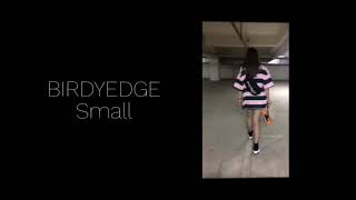 BIRDYEDGE Small 電動滑板 好輕巧 好攜帶