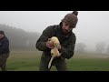 ferreting with bob merrin and gtpestcontrol