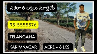 ఎకరా 6 లక్షలు మాత్రమే | Telangana || 9515555576 || red sandalwood Farm | Karimnagar || 50 Acres land