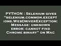 PYTHON : Selenium gives 