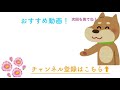 【柴犬】こしあんのお出迎えが激しすぎるww【黒柴こしあん】the shiba inu is too welcomed