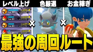 これだけで全て完結！色違い厳選、レベル上げ、金策が同時にできる神効率の周回方法を紹介します【ポケモンレジェンズアルセウス】