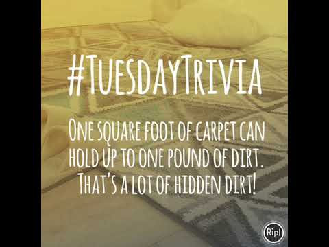 #TuesdayTrivia #TuesdayTrivia