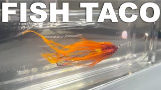 How to Tie a Fish Taco Steelhead Fly