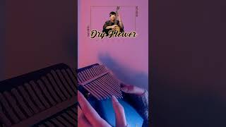 Yuuri - Dry Flower - No Tuning Kalimba Cover #kalimbatabs #yuuri #dryflowers