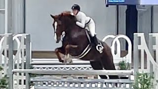 “Rosso” Schooling to 3’6” at WEC Oct 2023