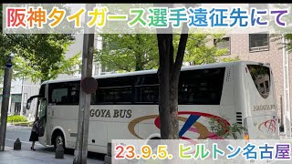 【名古屋】阪神タイガース遠征先にて選手が目の前にスター選手揃い踏み  23.9.5.