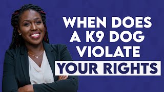 When Does a Drug Dog Violate Your Rights