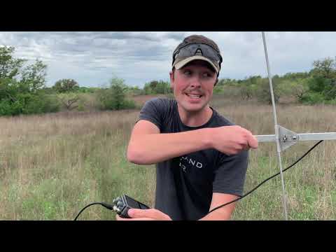 How do radio transmitters help scientists study animals?