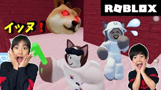 【ROBLOX】イヌやネコからにげてミッションをこなそう！