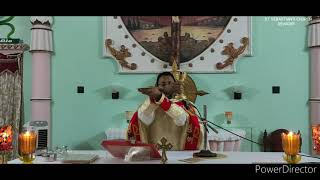 St.Sebastian Church | Devagiri | Holy Mass |04/04/2020 |By Rev.Fr.Sebastian Pottoly |