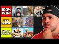 Animals Nickmercs Can Beat In A Fight... (TIER LIST)