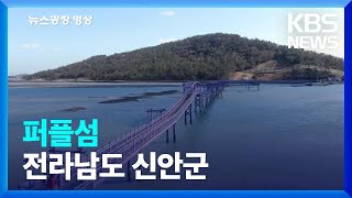 [뉴스광장 영상] 퍼플섬 / KBS  2022.03.18.