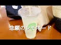 【toeic爆上げプロジェクト進行中】派遣在宅勤務ol vlog＃20 夏休み（唯一？）のお出かけ＆何目指してるの？の答【社会人勉強】