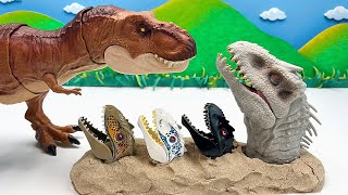 Indominus Rex Head In Sand | Dinosaurs Battle With T-Rex